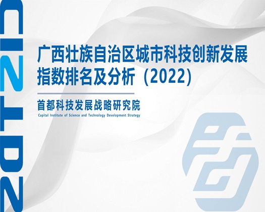 操她骚屄视频【成果发布】广西壮族自治区城市科技创新发展指数排名及分析（2022）